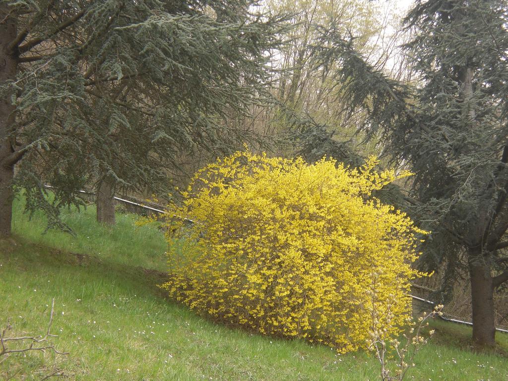 Le Giare * Génova